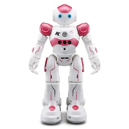 Robot Toy Gesture Control