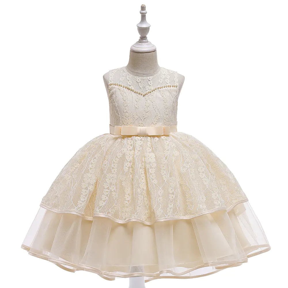 Lace Embroidery Mesh Princess Dress for Kids