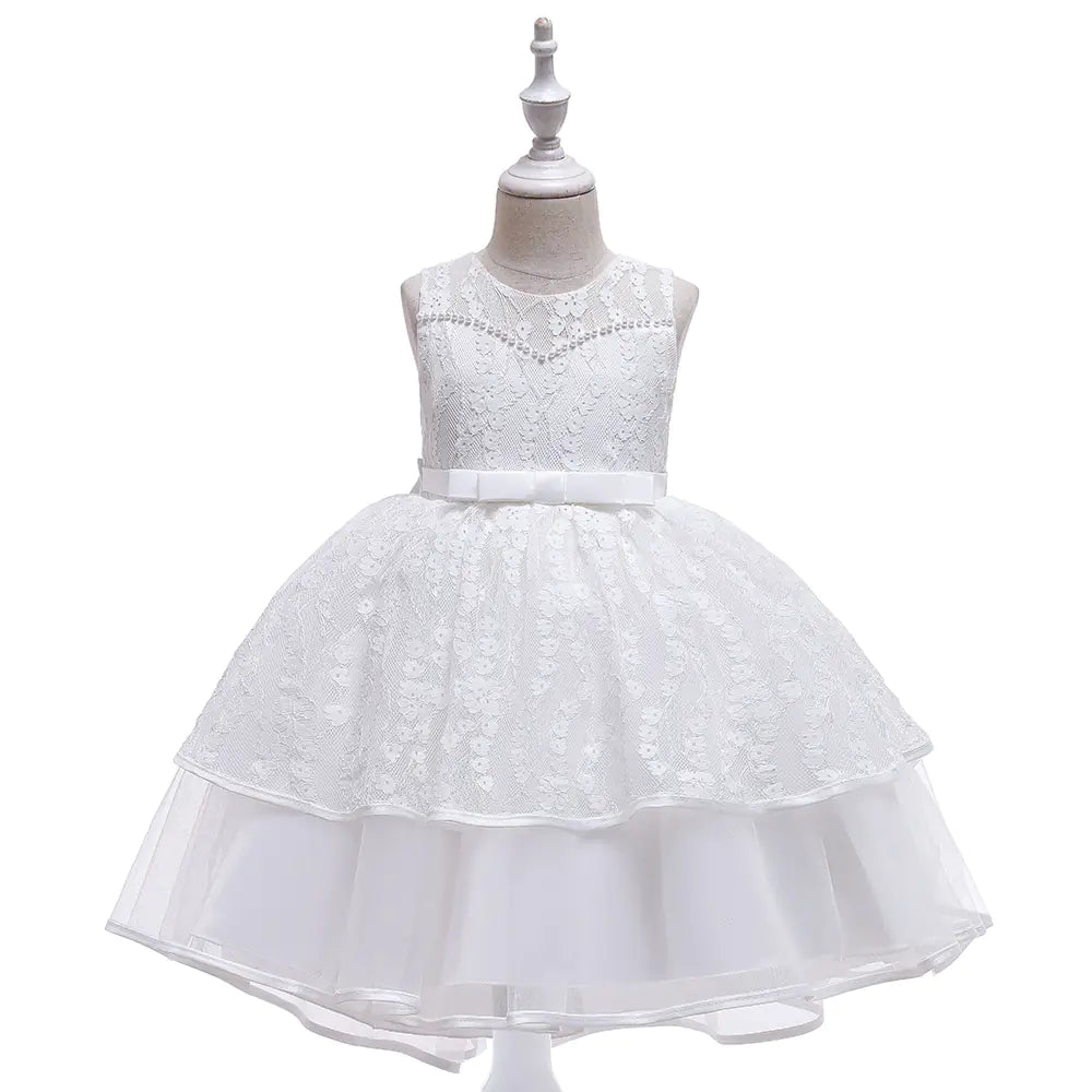 Lace Embroidery Mesh Princess Dress for Kids