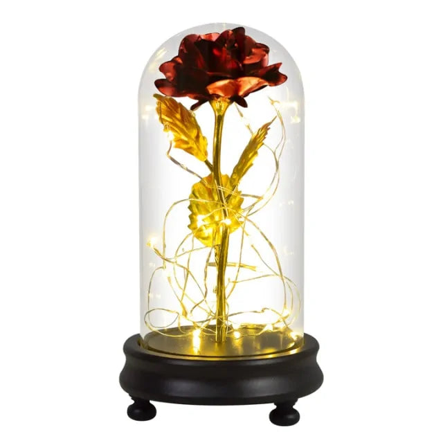 Beauty and The Beast Preserved Roses