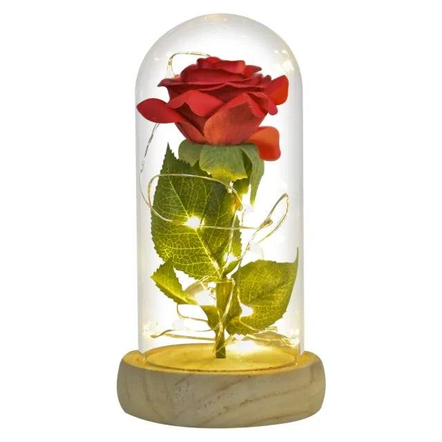 Beauty and The Beast Preserved Roses