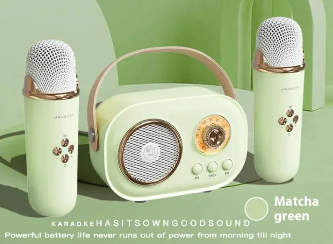 Portable Bluetooth Audio With Wireless Microphone – Rose&Jeffteco