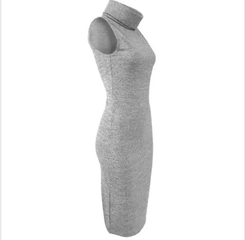 Sleeveless Knit Bodycon Pencil Dress